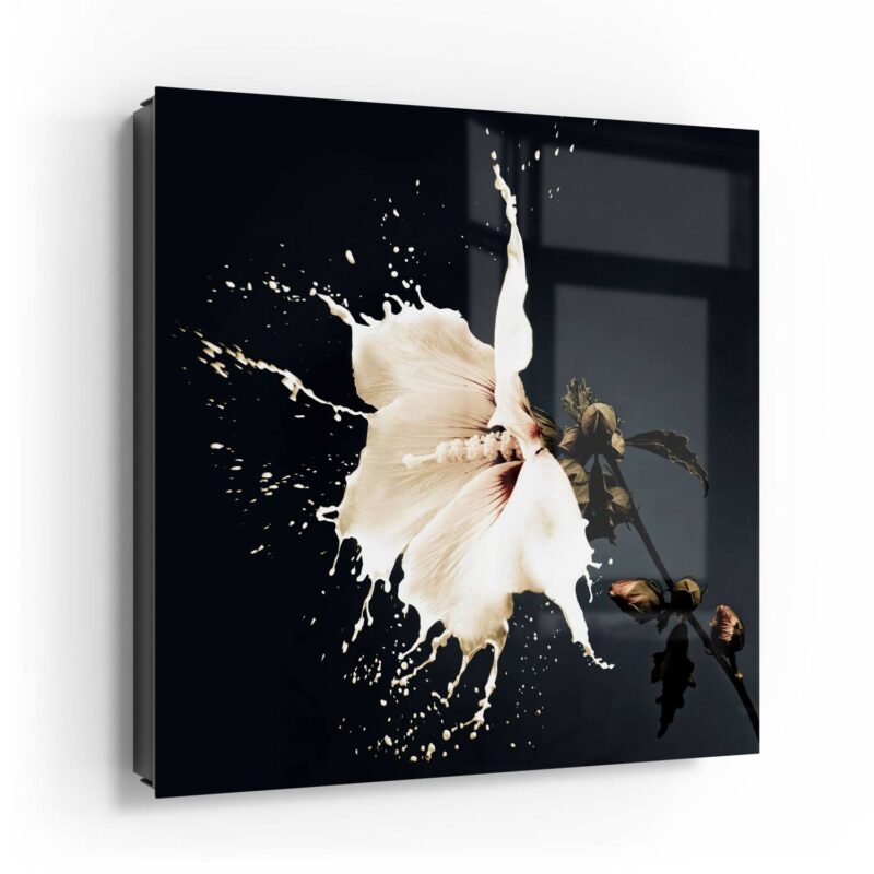 Milchige Blüte – Bild 4