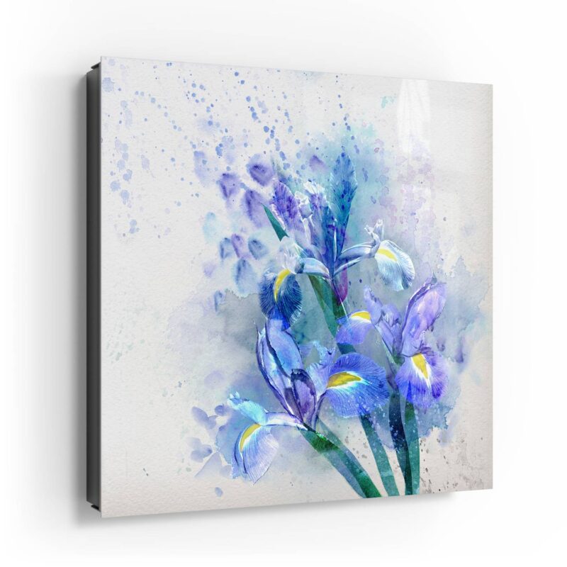 Blaue Iris Pracht – Bild 4