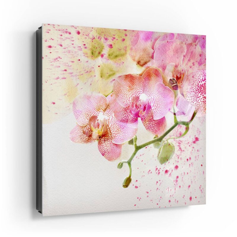 Orchideenflüstern – Bild 4