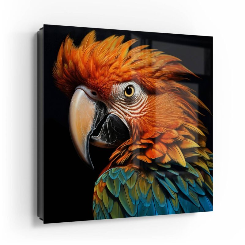 Prachtvogel Portrait – Bild 4