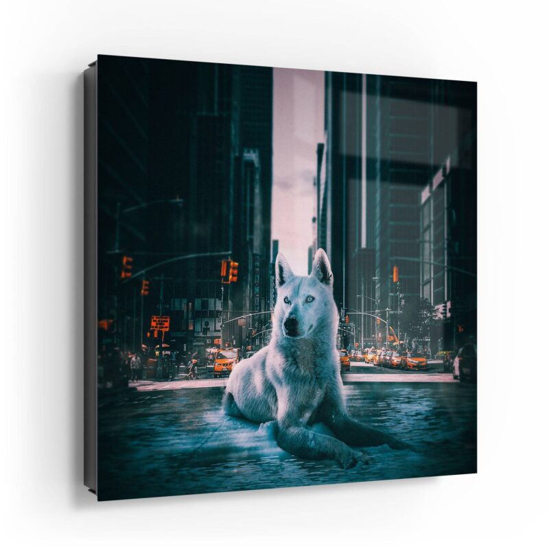 Urbane Wolfsruh – Bild 4