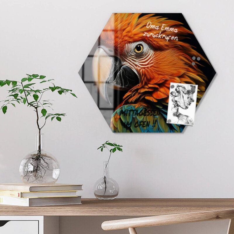 Prachtvogel Portrait – Bild 6